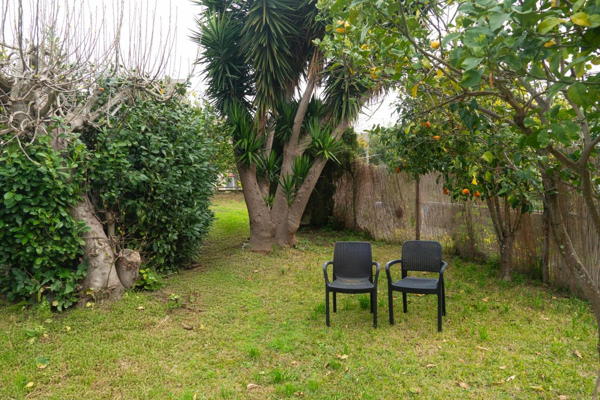 La Terrazza Sul Giardino Appartement Procida Buitenkant foto